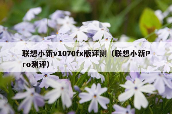 联想小新v1070fx版评测（联想小新Pro测评）