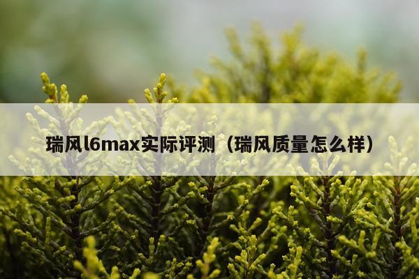 瑞风l6max实际评测（瑞风质量怎么样）