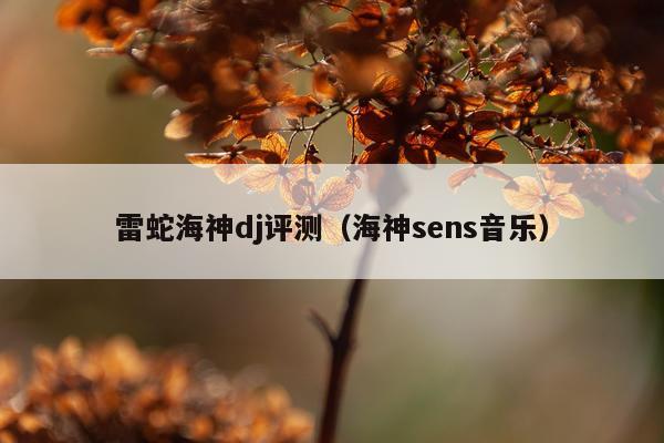 雷蛇海神dj评测（海神sens音乐）