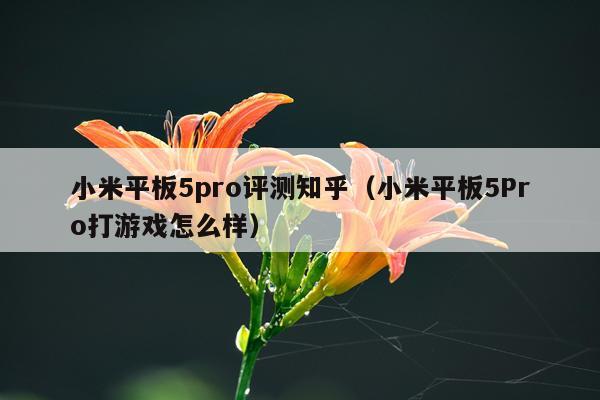 小米平板5pro评测知乎（小米平板5Pro打游戏怎么样）