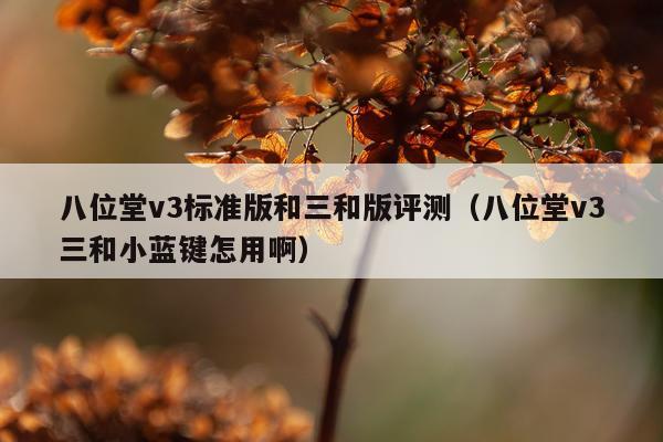 八位堂v3标准版和三和版评测（八位堂v3三和小蓝键怎用啊）