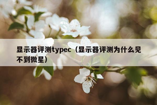 显示器评测typec（显示器评测为什么见不到微星）
