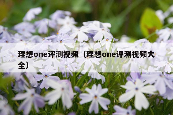 理想one评测视频(理想one评测视频大全)