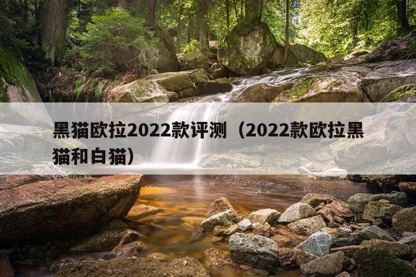 黑猫欧拉2022款评测(2022款欧拉黑猫和白猫)
